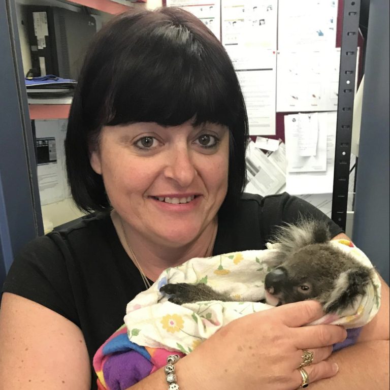 Aldgate Vet Clinic - Nurse Kylie with Koala patient