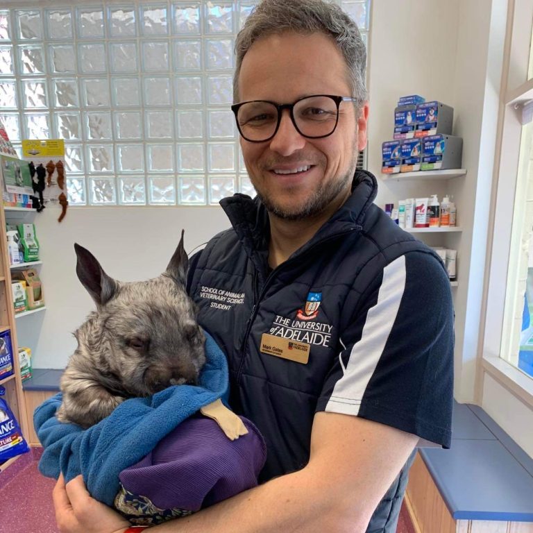 Aldgate Vet Clinic - Dr Mark holding a Wombat